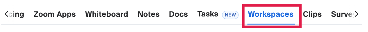Zoom Settings - Workspaces Selected