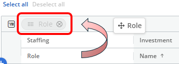 Screen shot of Group By Role with an arrow indicating where to drag and drop