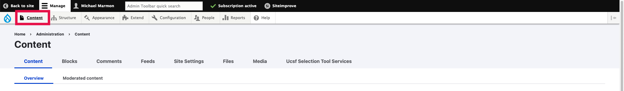Service Page - Content Button Selected