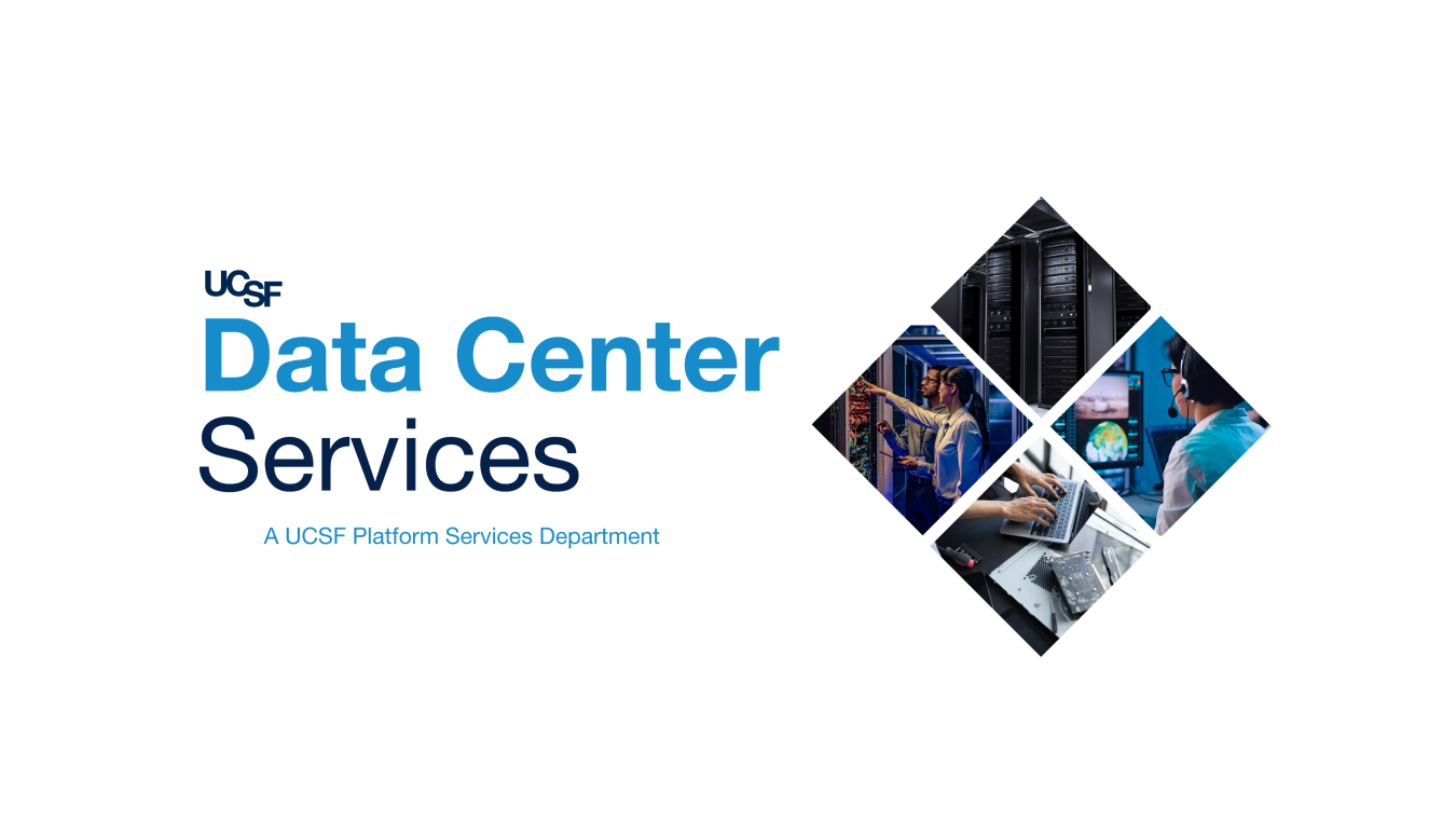 Data Center Services Logo