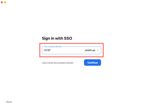 Zoom Company Domain Selected Screenshot
