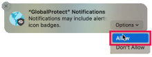 GlobalProtect Notifications (Allow selected)