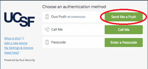 Screenshot of Duo "choose an authentication method" diaglogue box, with "Send Me a Push" button circled in red